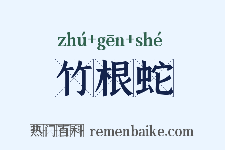 竹根蛇是什么意思的图片